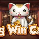 Big Win Cat: Kucing Imut, Putaran Penuh Keseruan
